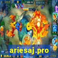 ariesaj.pro