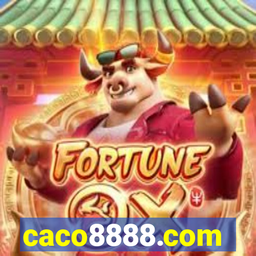 caco8888.com