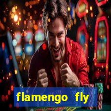 flamengo fly emirates ultimas noticias