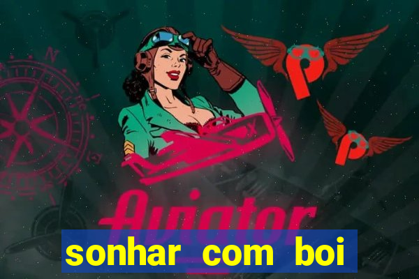 sonhar com boi jogo do bicho