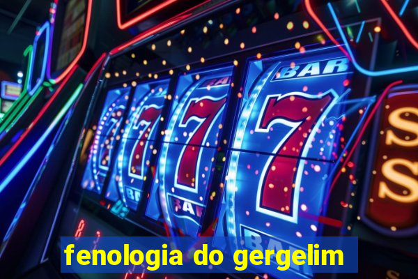 fenologia do gergelim