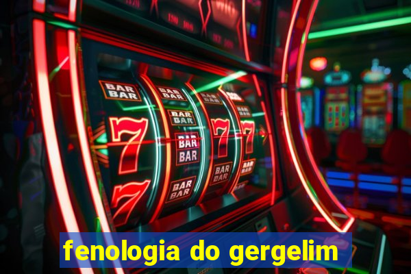 fenologia do gergelim