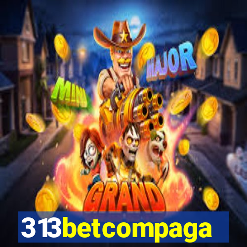 313betcompaga