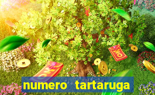 numero tartaruga jogo do bicho