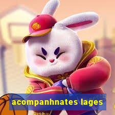 acompanhnates lages