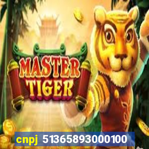 cnpj 51365893000100