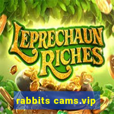 rabbits cams.vip