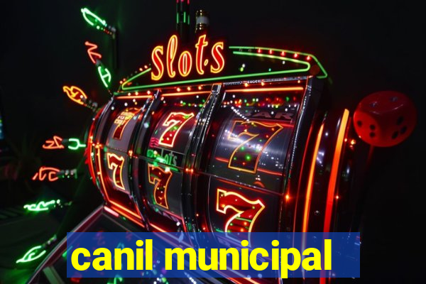 canil municipal