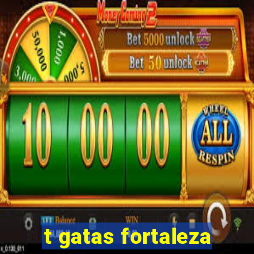 t gatas fortaleza