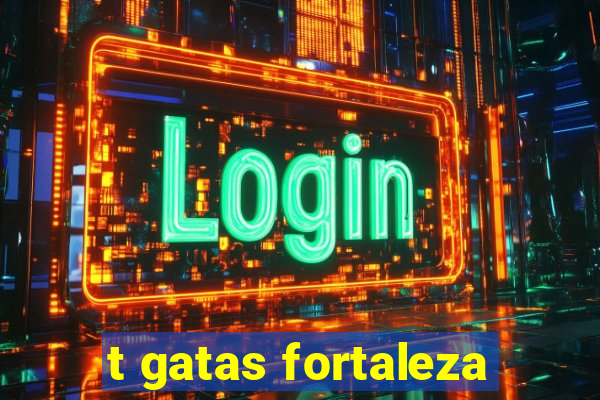 t gatas fortaleza