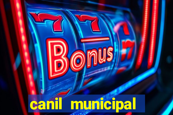 canil municipal porto alegre