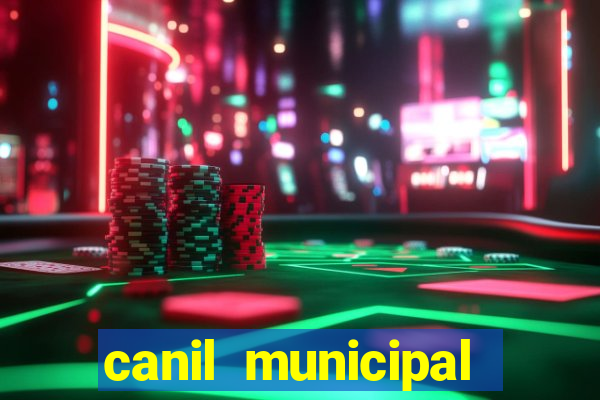 canil municipal porto alegre