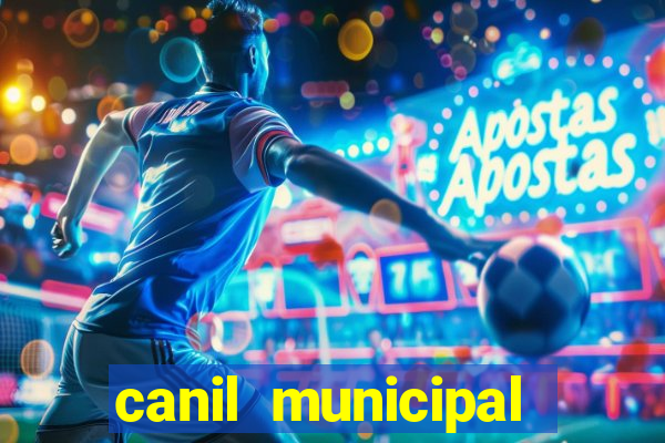 canil municipal porto alegre