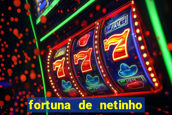 fortuna de netinho de paula