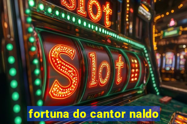 fortuna do cantor naldo