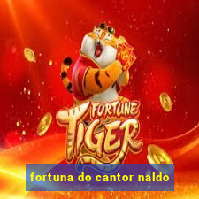 fortuna do cantor naldo