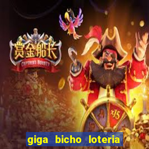 giga bicho loteria dos sonhos