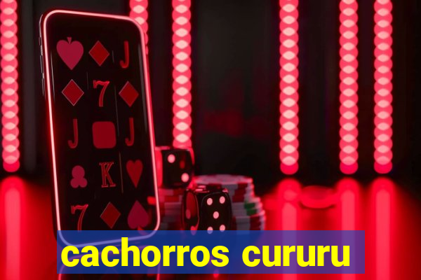 cachorros cururu