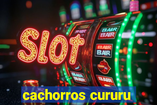 cachorros cururu