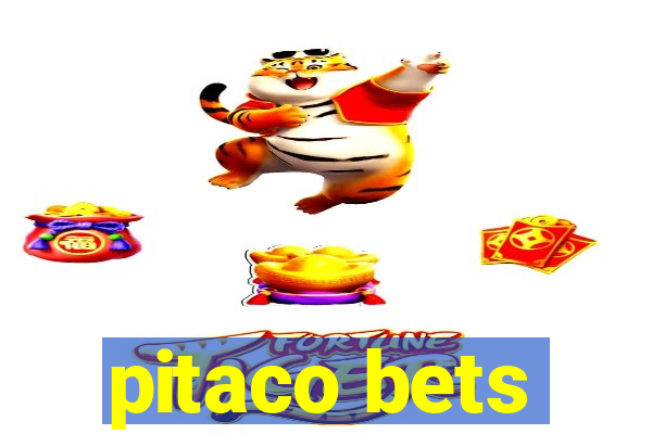 pitaco bets