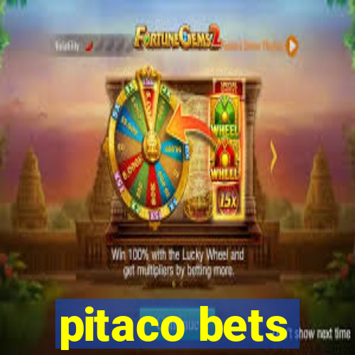 pitaco bets