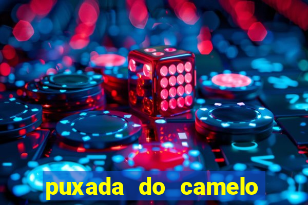 puxada do camelo jogo do bicho