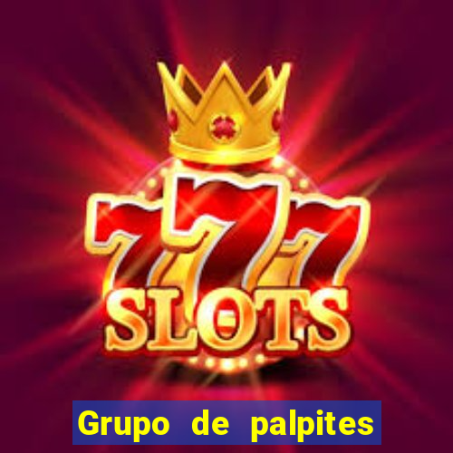 Grupo de palpites de futebol gratis