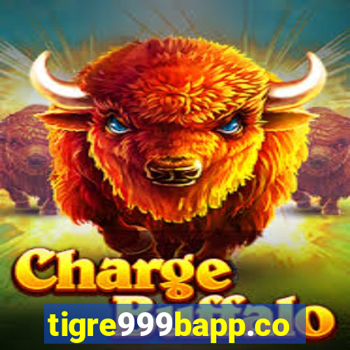 tigre999bapp.com