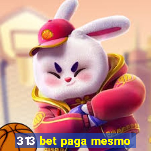 313 bet paga mesmo