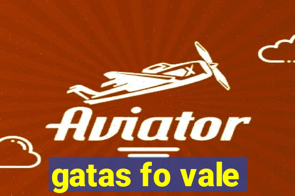 gatas fo vale