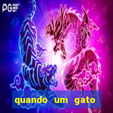 quando um gato aparece do nada significado espiritual