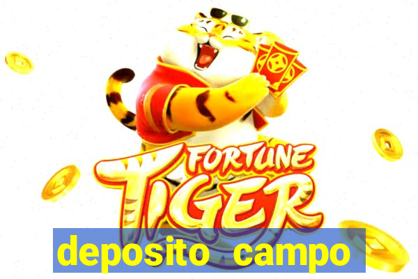 deposito campo grande santos