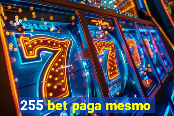 255 bet paga mesmo