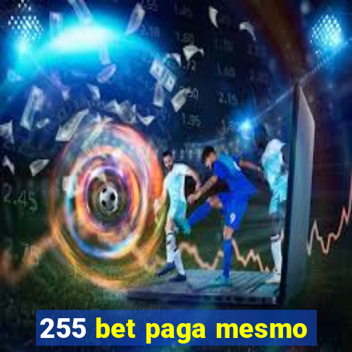 255 bet paga mesmo