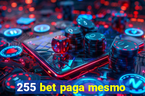 255 bet paga mesmo