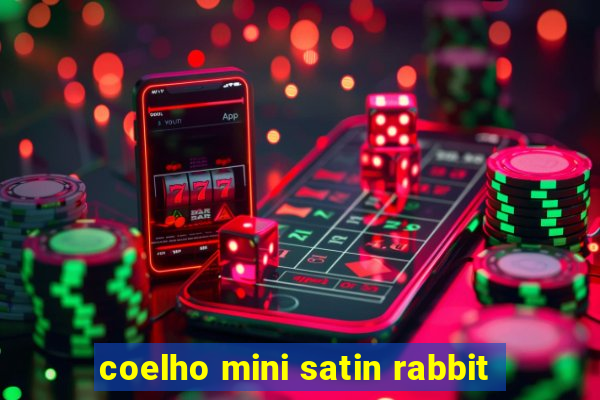 coelho mini satin rabbit