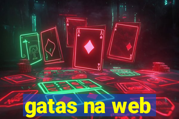 gatas na web