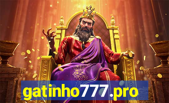 gatinho777.pro