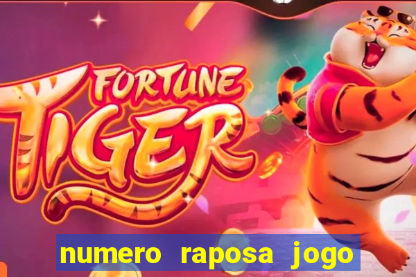 numero raposa jogo do bicho