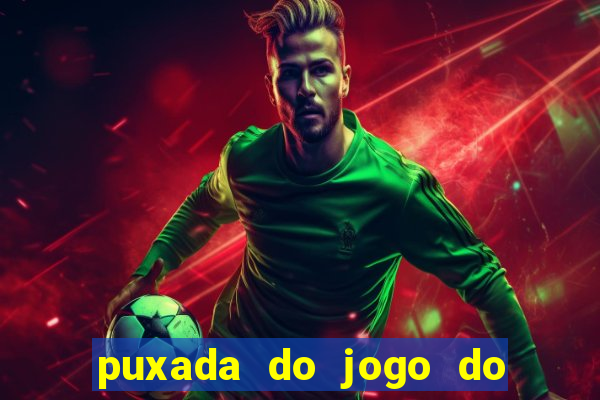 puxada do jogo do bicho da sueli