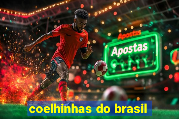 coelhinhas do brasil