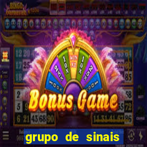 grupo de sinais fortune rabbit