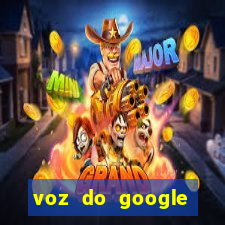 voz do google tradutor homem