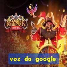 voz do google tradutor homem