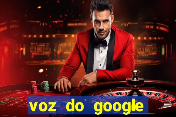 voz do google tradutor homem