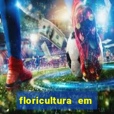 floricultura em lauro de freitas