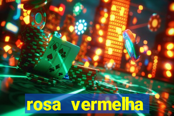 rosa vermelha (letra e cifra)