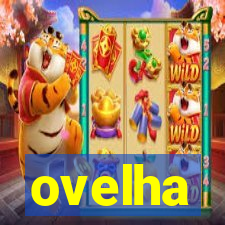 ovelha