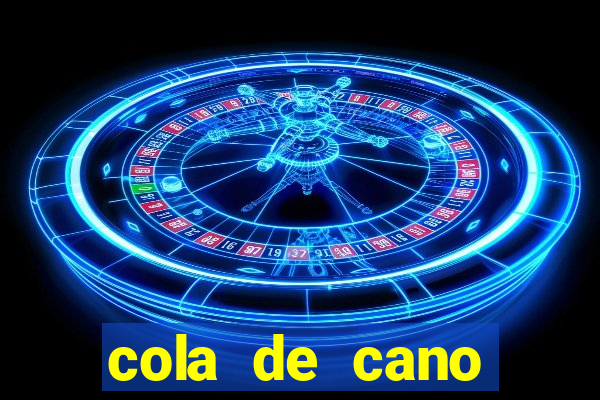 cola de cano quanto tempo para secar