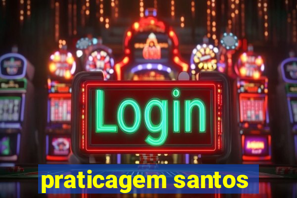 praticagem santos